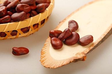 《天国：拯救2》撞车《刺客信条：影》 开发者称期待双方一较高下